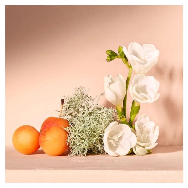 Nomade Chloé - Eau de Parfum - Image 3